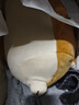 名创优品（MINISO）柴犬系列毛绒公仔趴姿玩具娃娃抱枕睡觉卧室办公室生日圣诞礼物 实拍图