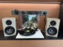 宝碟T1 EVO Phono黑胶唱片机欧洲原装进口Pro-Ject家用复古黑胶唱机电子调速唱盘机生日礼物 T1 EVO PHONO+尊宝707PA蓝色 实拍图