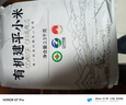 硃碌科 有机建平K1黄小米5斤装 辽宁优品认证 建平小米糯小米粥小黄米 实拍图