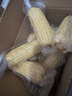 京鲜生东北白糯玉米250g*10棒 新鲜甜糯玉米棒真空包装粘玉米 源头直发 实拍图