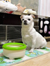 licheers狗狗水碗宠物悬浮喝水碗不湿嘴狗碗小型宠物狗水碗饮水器 绿色 实拍图