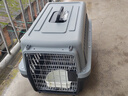 腆宠宠物航空箱大号 猫咪航空箱猫狗 猫包猫笼外出车载猫箱狗狗托运 实拍图