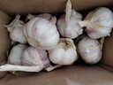 【营田半亩】蒜干蒜头蒜大蒜紫白皮大蒜当季蔬菜0.5-5斤 1斤带箱重【果径3.5-4.5cm】中果 实拍图