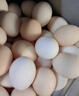德青源PLUS联名款A+级鲜鸡蛋32枚2.74斤无抗生素 源头直发 1件包邮 实拍图