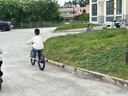 Nabiis那贝斯儿童自行车6-10-12岁铝合金城市超轻青少年学生单车20寸银 晒单实拍图