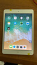 Apple 苹果 iPad Mini 2/3/4/5/6/7代 2022/2021款 二手平板电脑自营 iPad mini2 实拍图