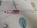 得力（deli）30cm办公通用直尺 考研高考中考测量绘图尺子 办公用品 尺子 实拍图
