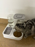 甜浪海自动喂食器猫碗猫咪饮水机狗狗吃饭喝水大容量投食器宠物粮食盆 实拍图