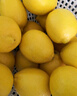 优味集进口新奇士柠檬【JD顺丰现货速发】新鲜南非黄柠檬生鲜水果整箱 2斤 商超级大果（单果120g+） 实拍图