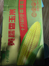 十月稻田 黄糯香玉米 8根 3.52斤 东北甜玉米棒 真空包装 非转基因 早餐 实拍图