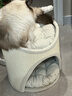 兽牌树洞剑麻桶猫窝猫抓板一体剑麻猫爬架双层大猫屋半封闭式冬季保暖 燕麦奶白丨双层剑麻桶 实拍图