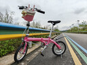 大行（DAHON） 412折叠自行车14英寸单速超轻迷你铝合金学生成人单车BYA412 粉色 实拍图