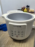 九阳（Joyoung）电炖锅电砂锅电炖盅炖汤盅煲汤锅多功能锅高温瓷燕窝炖盅煮粥神器熬粥专用锅3L大容量DG30K-GD316 实拍图