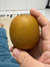 佳沛（zespri）新西兰  阳光金奇异果10粒礼盒巨大果单果约144-175g 水果 猕猴桃 实拍图