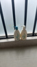 惠润（SUPER MiLD）蓬松控油洗发露600ml*2+蓬松柔顺护发素600ml芳香洗护套装护发 实拍图