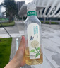 农夫山泉 东方树叶茉莉花茶500ml*15瓶无糖茶饮料0糖0脂0卡整箱装热门商品 实拍图