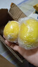 广东香水黄柠檬新鲜柠檬奶茶店专用香水黄柠檬水果产地源头直发 （带箱1斤）香水柠檬黄果单果70g起 实拍图