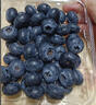 云南8分甜高山蓝莓125g(18mm) 实拍图
