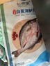 仙泉湖三去白蕉海鲈鱼1斤/条净膛冷冻刺少肉厚珠海特产500g生鲜食材 实拍图