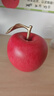 铜师傅《吉祥苹果》客厅 桌面 铜摆件 家居装饰工艺品 实拍图