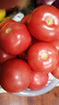 京鲜生陕西沙瓤西红柿 净重4.5斤 单果100g+ 沙瓤番茄源头直发  实拍图