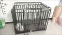 宠乐坊狗笼子加粗六面全方管家用带厕所金毛边牧拉布拉多专用室内狗笼子 亮黑六面全方管78*54*75CM含轮高度（30斤内适用） 实拍图