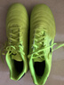 李宁足球鞋男TF碎钉成人青少年小学生儿童专业比赛训练球鞋钉鞋绿 44  实拍图