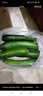 京喜加新鲜无刺水果小黄瓜小青瓜脆甜荷兰脆嫩生吃黄瓜蔬菜 水果黄瓜 3斤 带箱 实拍图