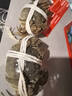 【活蟹】蟹叁钳庄 全母大闸蟹4.0-4.3两8只去绳足重鲜活螃蟹现货生鲜水产海鲜礼盒 实拍图