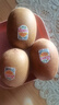 佳沛（zespri）新西兰  阳光金奇异果25-27粒原箱特大果单果约122-146g  猕猴桃 实拍图