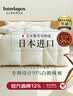 Interlagos日本进口羽绒被A类抗菌95%白鹅绒被高端专利设计夏季春秋被空调被 【日本专利设计】抗菌防潮 95%白鹅绒-冬被 220x240cm 实拍图