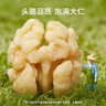 京东京造去皮核桃仁500g 去衣核桃仁新疆薄皮核桃每日坚果0添加炒货零食 实拍图