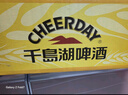 千島湖啤酒（CHEERDAY）头道榨麦汁小金罐啤酒330ml*24罐整箱 实拍图