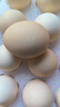 京鲜生【每日鲜蛋】无抗谷物鸡蛋30枚 3.18斤 当日产蛋 当日发货 实拍图