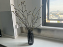 北欧轻奢玻璃花瓶透明客厅高级感插花水养鲜花装饰精致花器摆件 【烟灰组合】20高+27高璀璨 实拍图