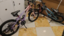 凤凰山地自行车男女变速山地车碟刹青少年儿童自行车学生单车 星际 粉紫【变速+辐条轮】 22寸【适合130-170cm】 实拍图