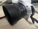 佳能（Canon）EOS R50 微单半画幅相机 r50小巧便携 Vlog拍摄直播相机 4K短视频  学生微单相机 R50白色单机+RF50F1.8【人像小痰盂】 官方标配【京东多仓发~快可次日达】 实拍图