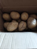 新鲜土豆现挖现发山东正宗黄心黄肉当季蔬菜马铃薯洋芋薯条3两起 山东土豆带箱4斤 中大果 实拍图