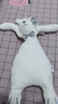 澳贝（auby）婴幼儿玩具小兔安抚巾加大宝宝哄睡阿贝贝新生儿毛绒手偶满月礼物 实拍图