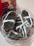 【活蟹】漁家师傅大闸蟹全母3.0-3.3两8只去绳足重鲜活螃蟹现货生鲜水产海鲜礼盒 实拍图