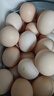京鲜生【每日鲜蛋】无抗谷物鸡蛋30枚 3.18斤 当日产蛋 当日发货 实拍图
