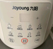 九阳（Joyoung）电炖锅电砂锅电炖盅炖汤盅煲汤锅多功能锅高温瓷燕窝炖盅煮粥神器熬粥专用锅3L大容量DG30K-GD316 实拍图