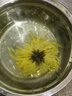 福东海 花草茶 金丝皇菊 安徽黄山特级【买3发4共120大朵】贡菊花茶叶 实拍图