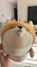 名创优品（MINISO）柴犬系列毛绒公仔趴姿玩具娃娃抱枕睡觉室内卧室办公室生日礼物 实拍图