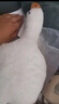 网红大白鹅公仔抱枕女生床上玩偶可爱枕头靠垫儿童大号毛绒玩具 大鹅 160厘米 实拍图