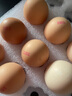 京鲜生富硒鲜鸡蛋30枚 3斤 源头直发 实拍图