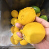 京鲜生 安岳黄柠檬 8粒 单果95-120g 生鲜水果 实拍图