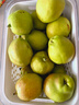 京鲜生 新疆特级库尔勒香梨 净重5斤单果120g以上 生鲜水果 实拍图