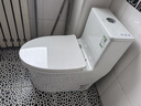 九牧（JOMOO）11176-2-1/31K-1 大力神升级家用马桶虹吸抗菌坐便器305坑距 实拍图