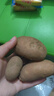 【真便宜】红皮土豆高原黄心土豆马铃薯红皮黄心洋芋 蔬菜水果 红皮土豆 半斤 单果1-3两 实拍图